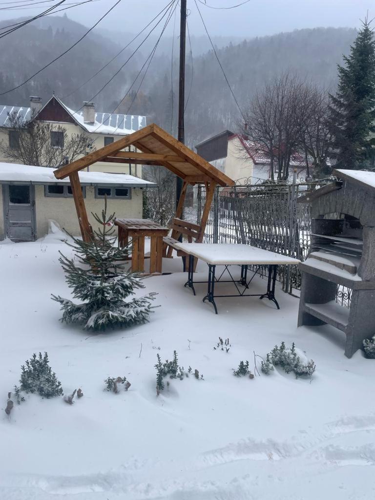 Elle Guest House Sinaia Bagian luar foto